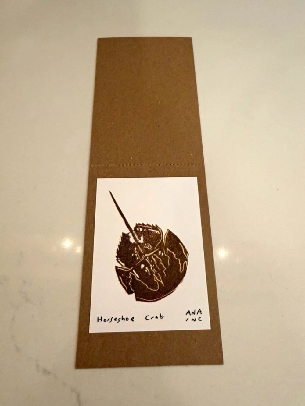 Ana Inciardi Horseshoe Crab Mini Art Print